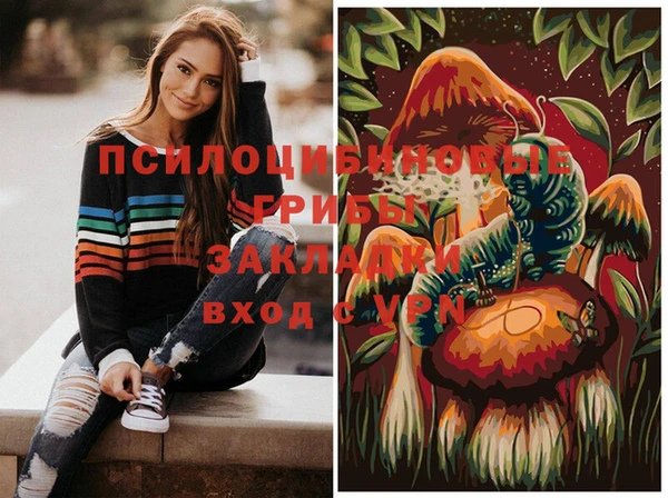 ALPHA PVP Нефтекумск