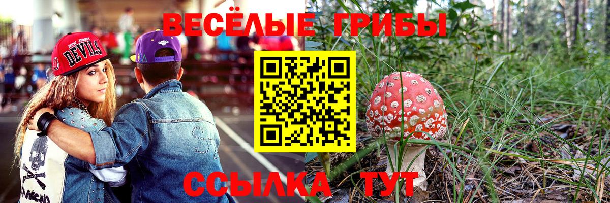Галлюциногенные грибы мухоморы  Вход с VPN  Богородск  Галлюциногенные грибы Cubensis 