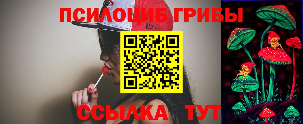 Псилоцибиновые грибы GOLDEN TEACHER  Богородск  Галлюциногенные грибы Magic Shrooms 